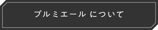 プルミエールについて